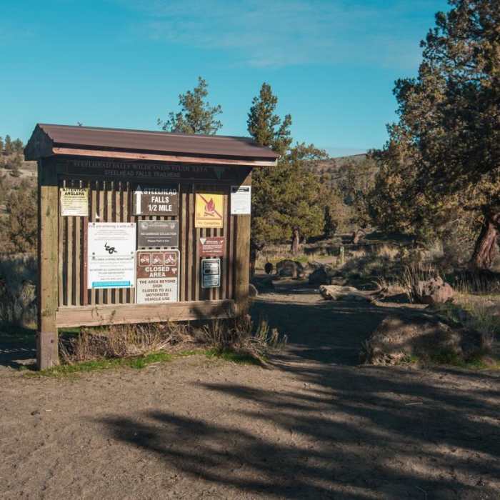 Near Steelhead Falls