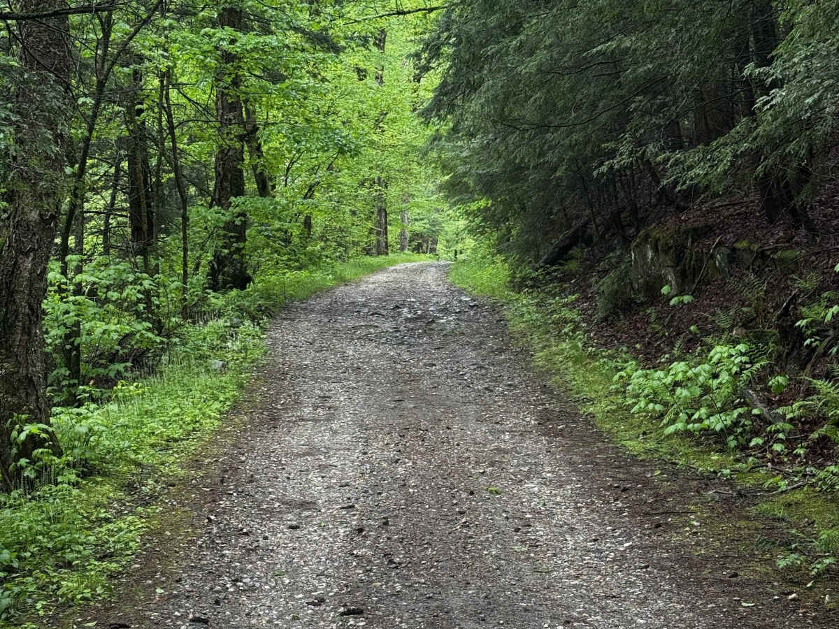 Beartown Mountain Road photo 4