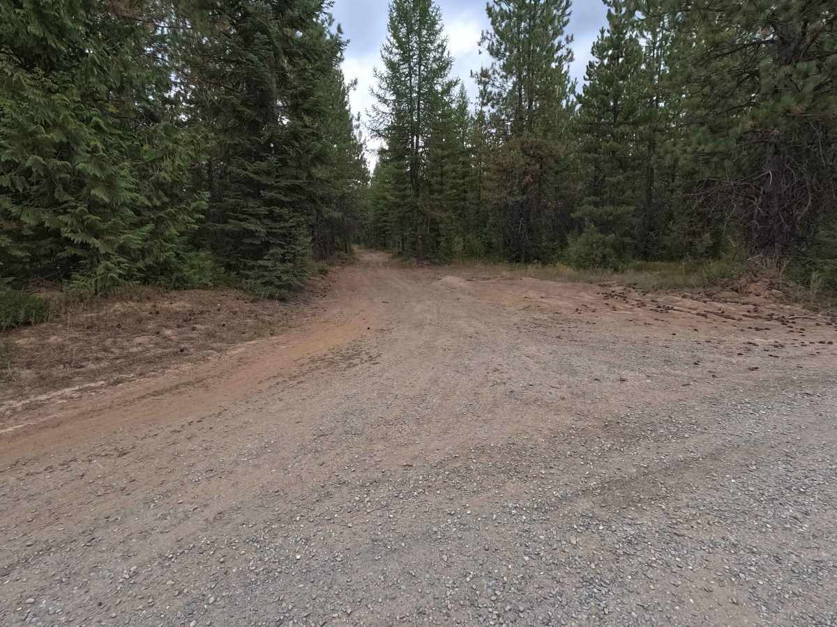 FS 50000132 trail photo