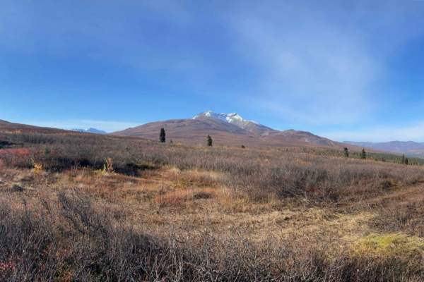 Gunsight Mountain