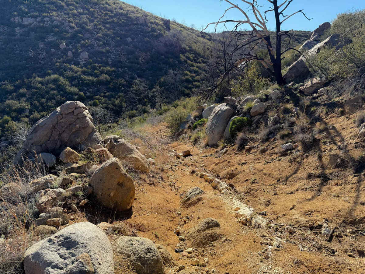 Shivers #9879  trail photo