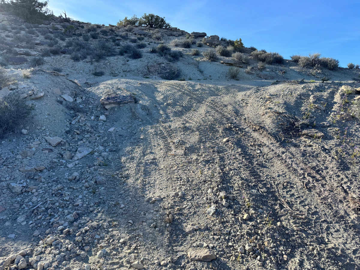 Lower Cactus Rat trail photo