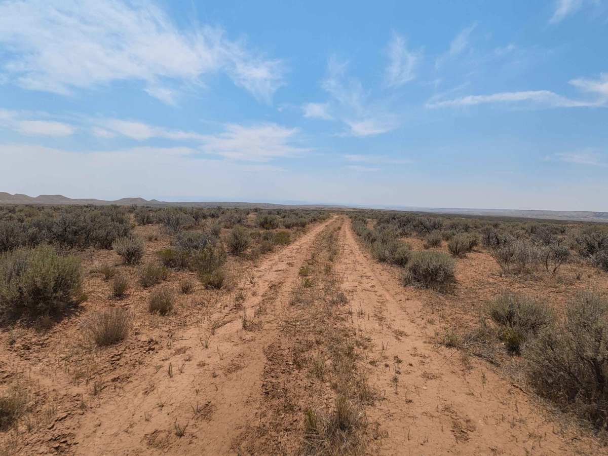 BLM 114 photo 6