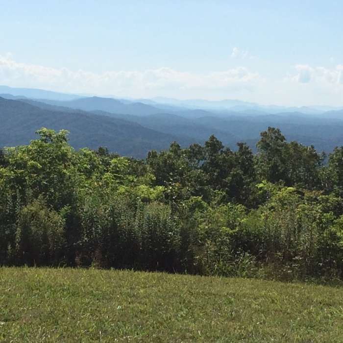 Near Benton MacKaye Trail - Childers Creek to Unicoi Gap - Backpack