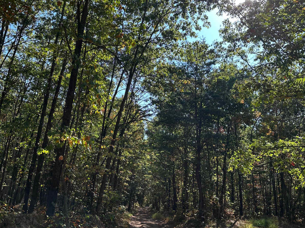 Howards Trail photo 5
