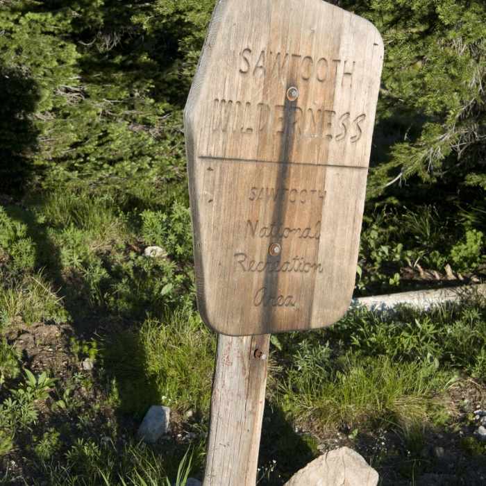 Near Waipiti Ridge Trail