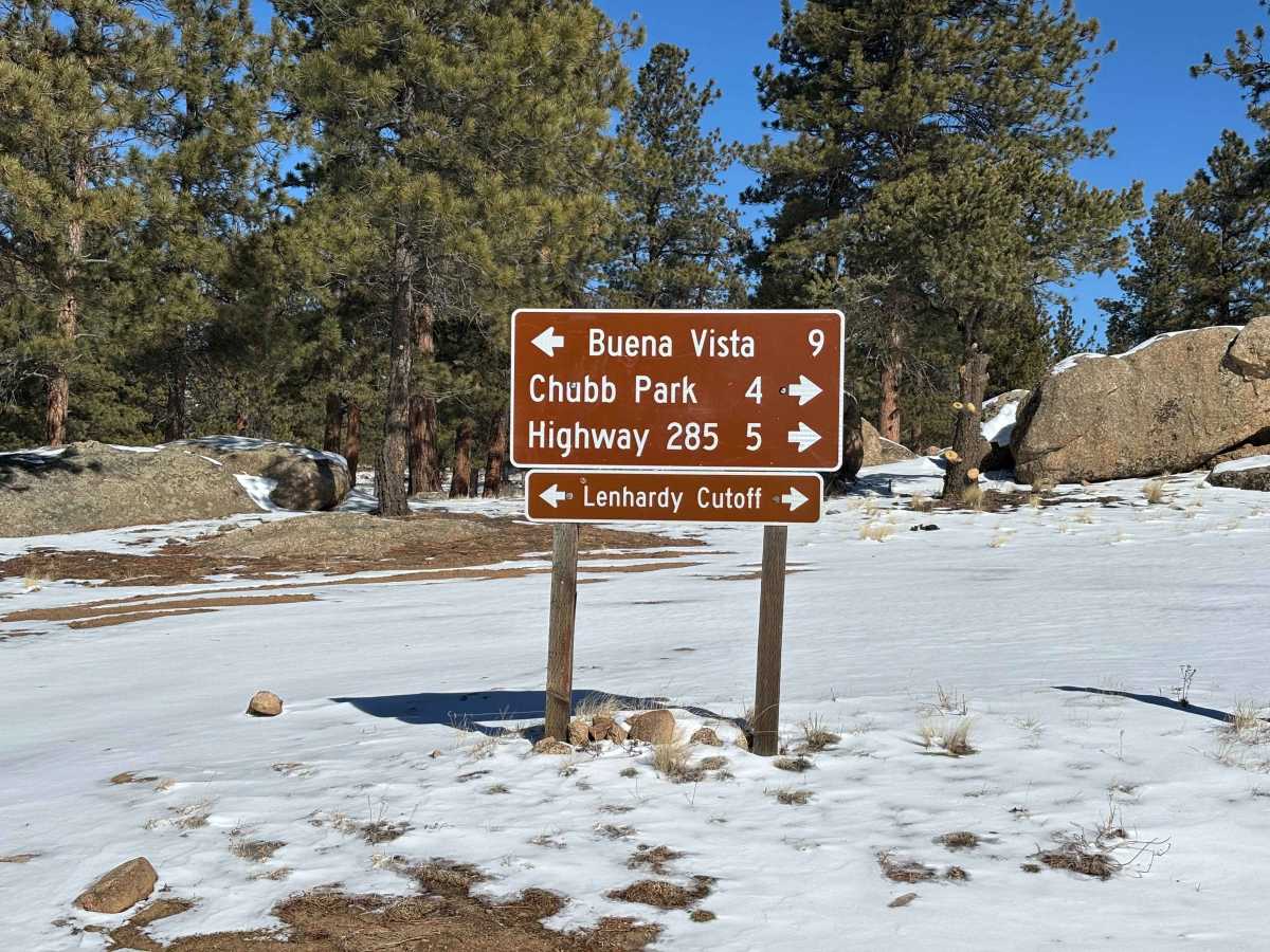 Shields Gulch photo 4