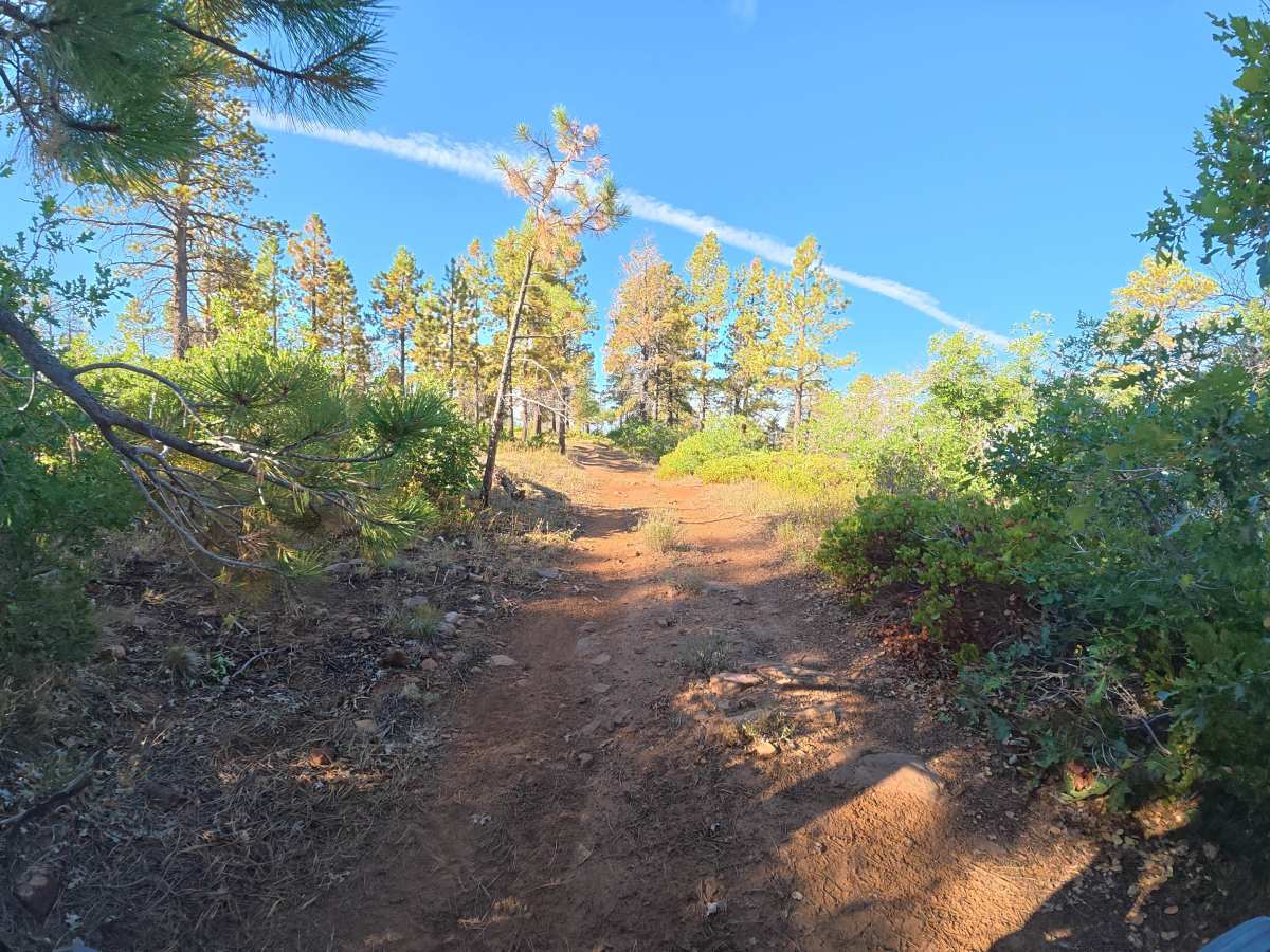 Long Canyon Road photo 4