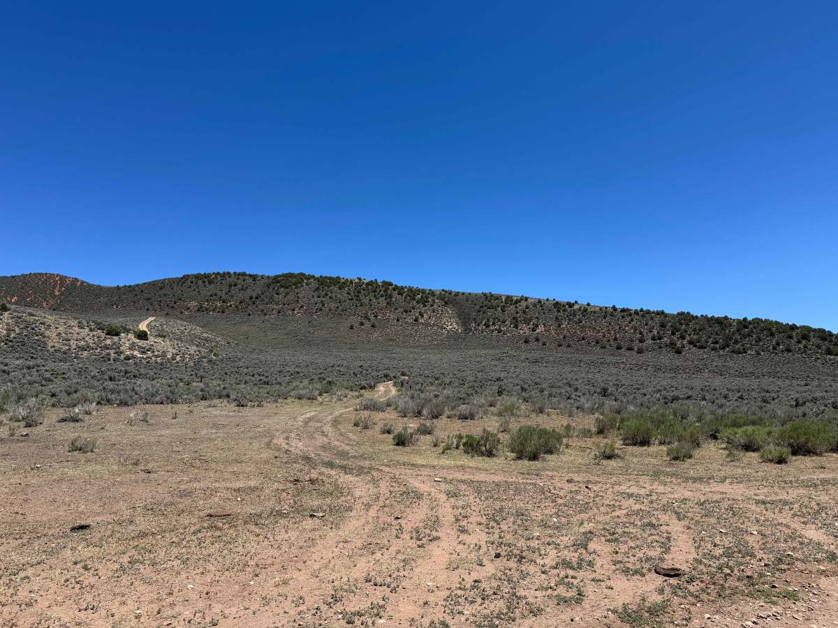 BLM 8485B photo 2