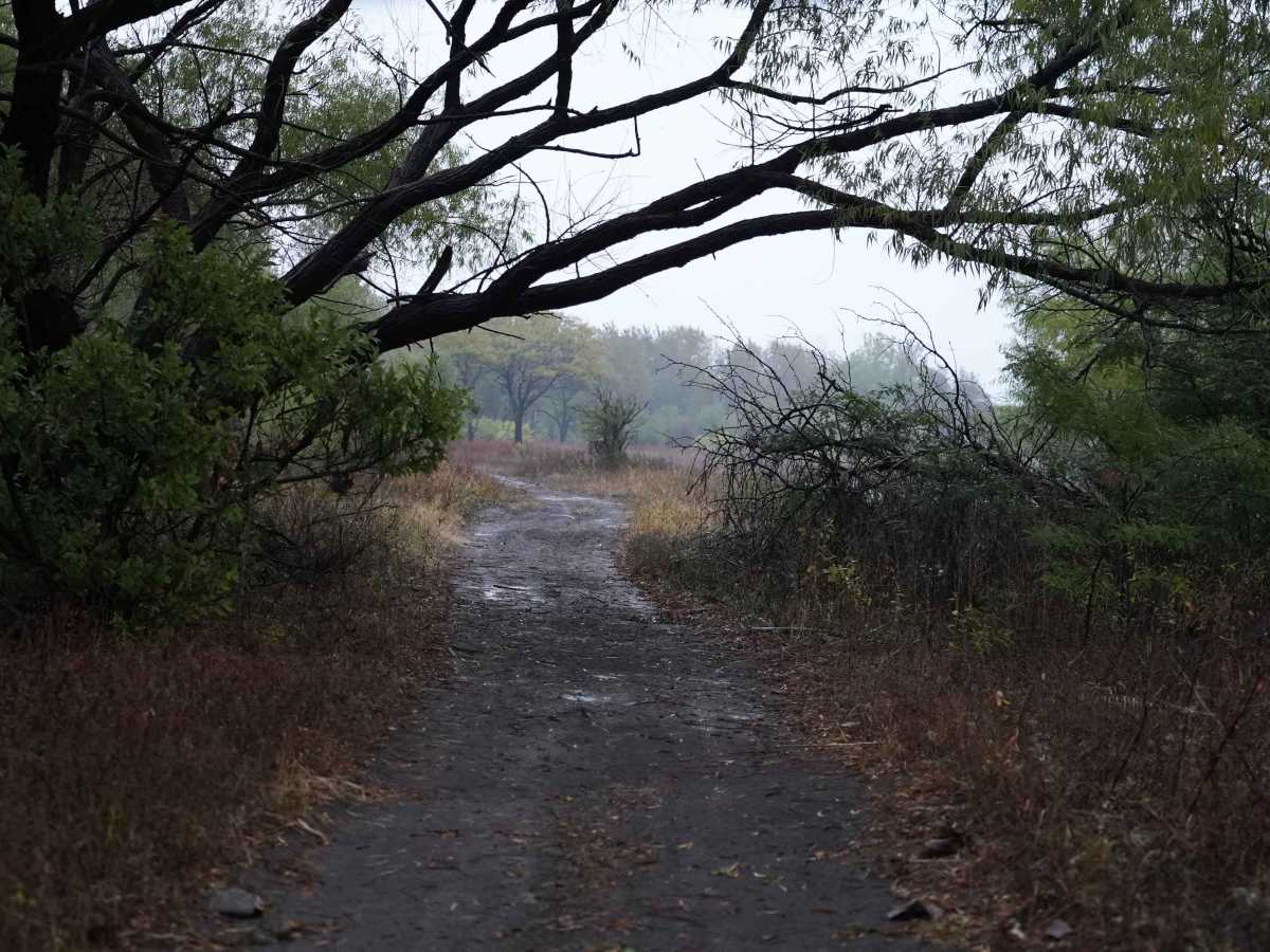 Otter Creek Inner Trail photo 4