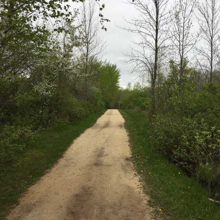 Near Lion's Den Trail