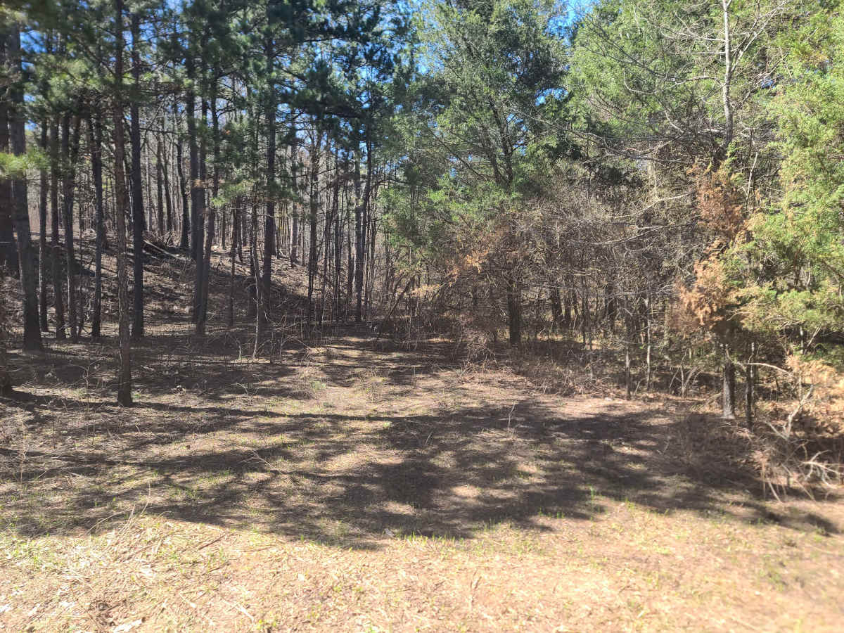 Eagle Gap Road South photo 5