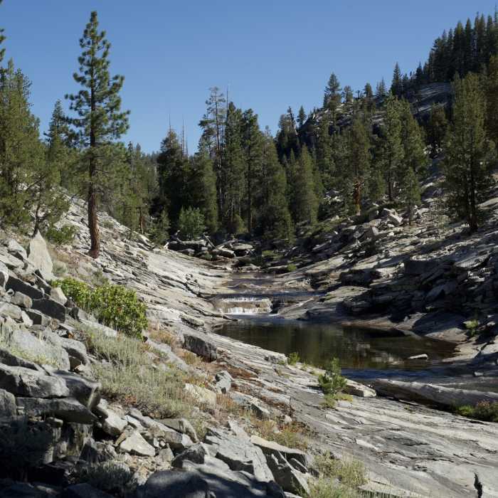 Near Yosemite Creek Trail