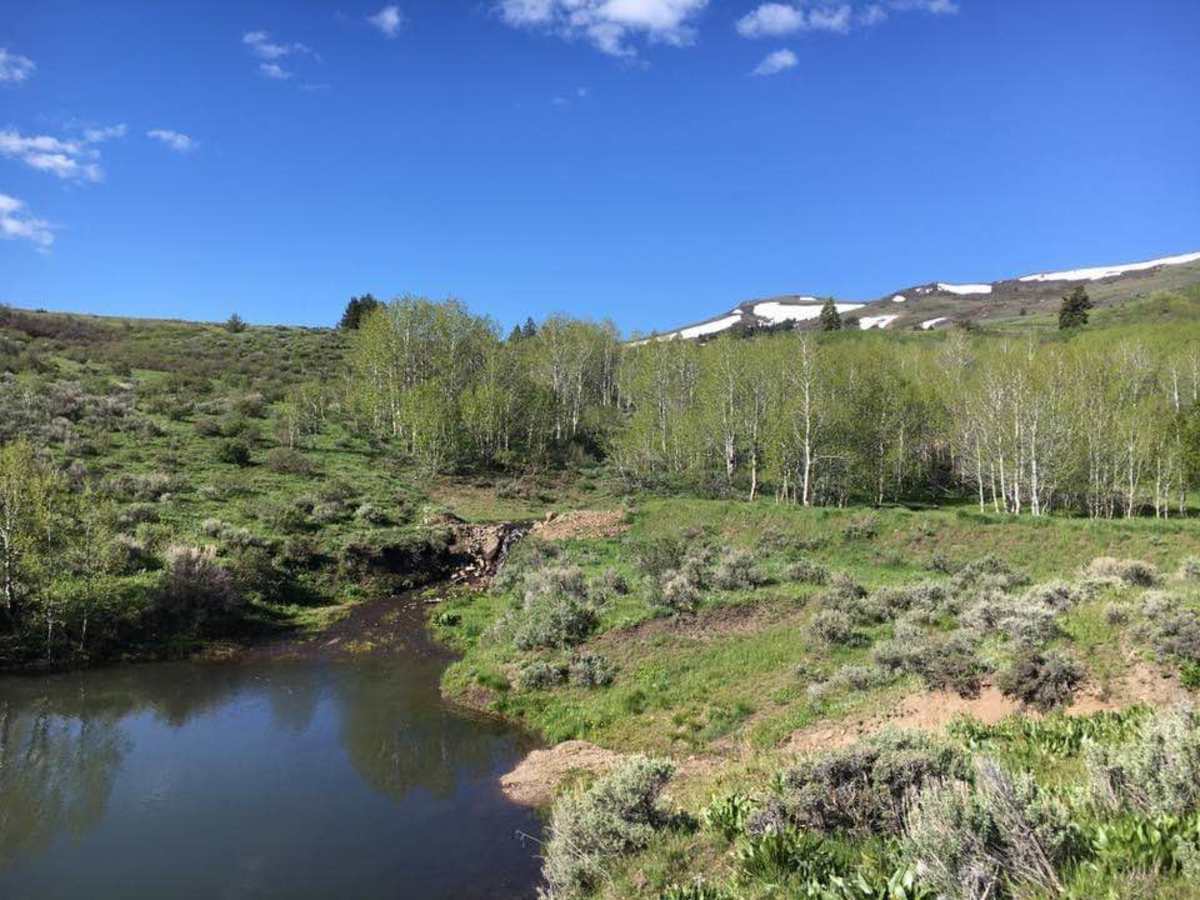 Whiskey Mountain Road photo 2