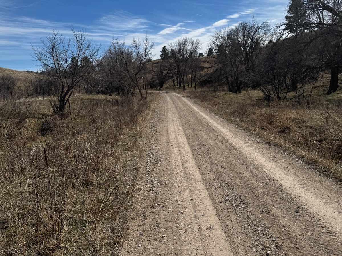 Kings Canyon Trail trail photo