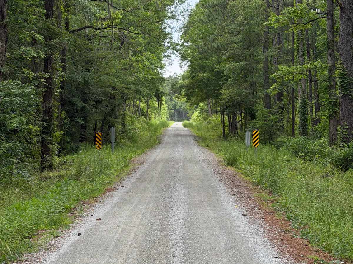 Collins Road - FS 146A photo 2