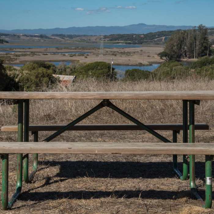 Near South Marsh Loop Near South Marsh Loop