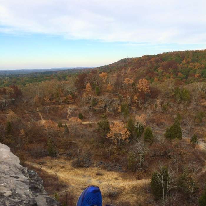 Relaxing spot to eat lunch. Near Ruffner Ridge and Quarry Loop
