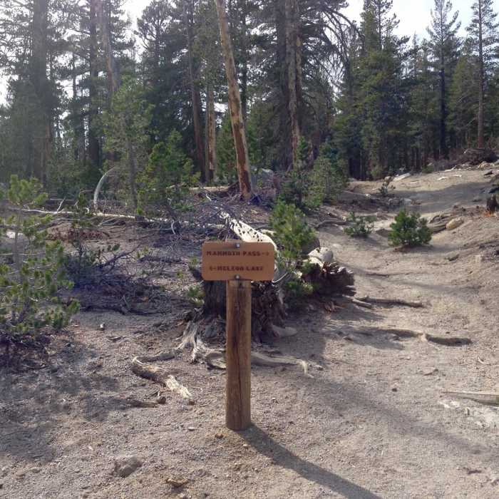 Near McLeod Lake Trail