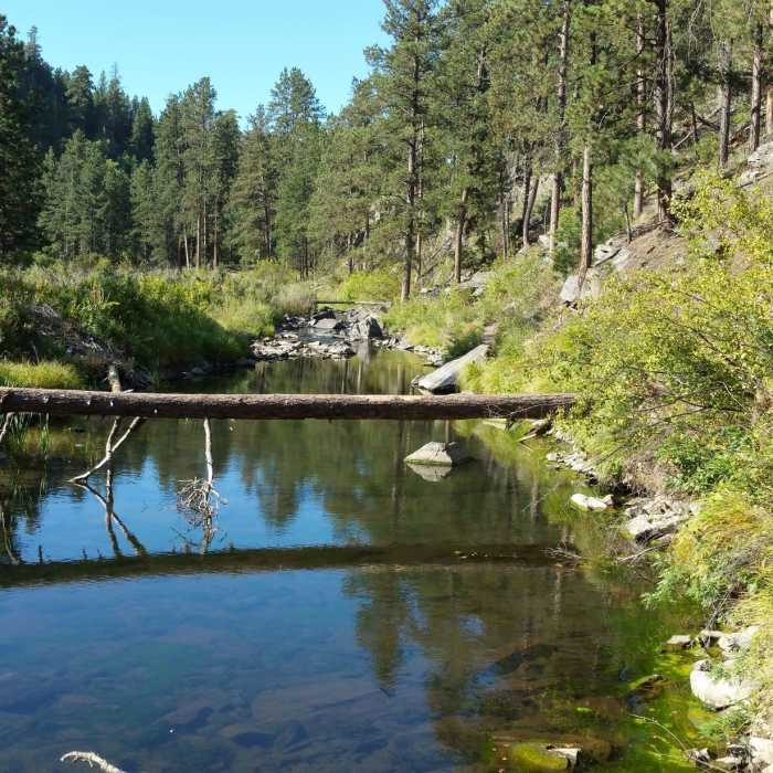 Spring Creek in September, looking southwest. Near Flume to Sheridan to Centennial Loop