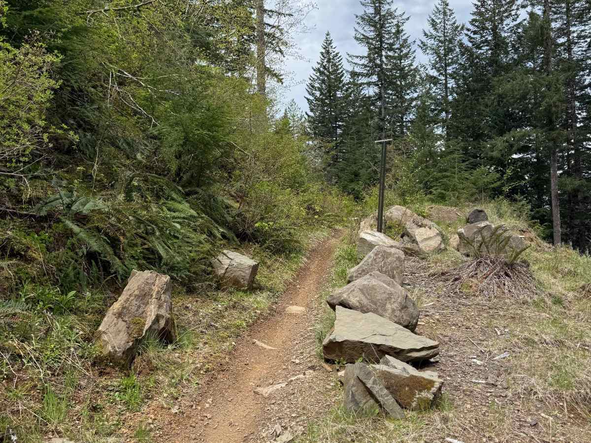 Ginger Creek Access Loop photo 2