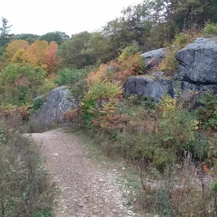 Near Escape Rigaud