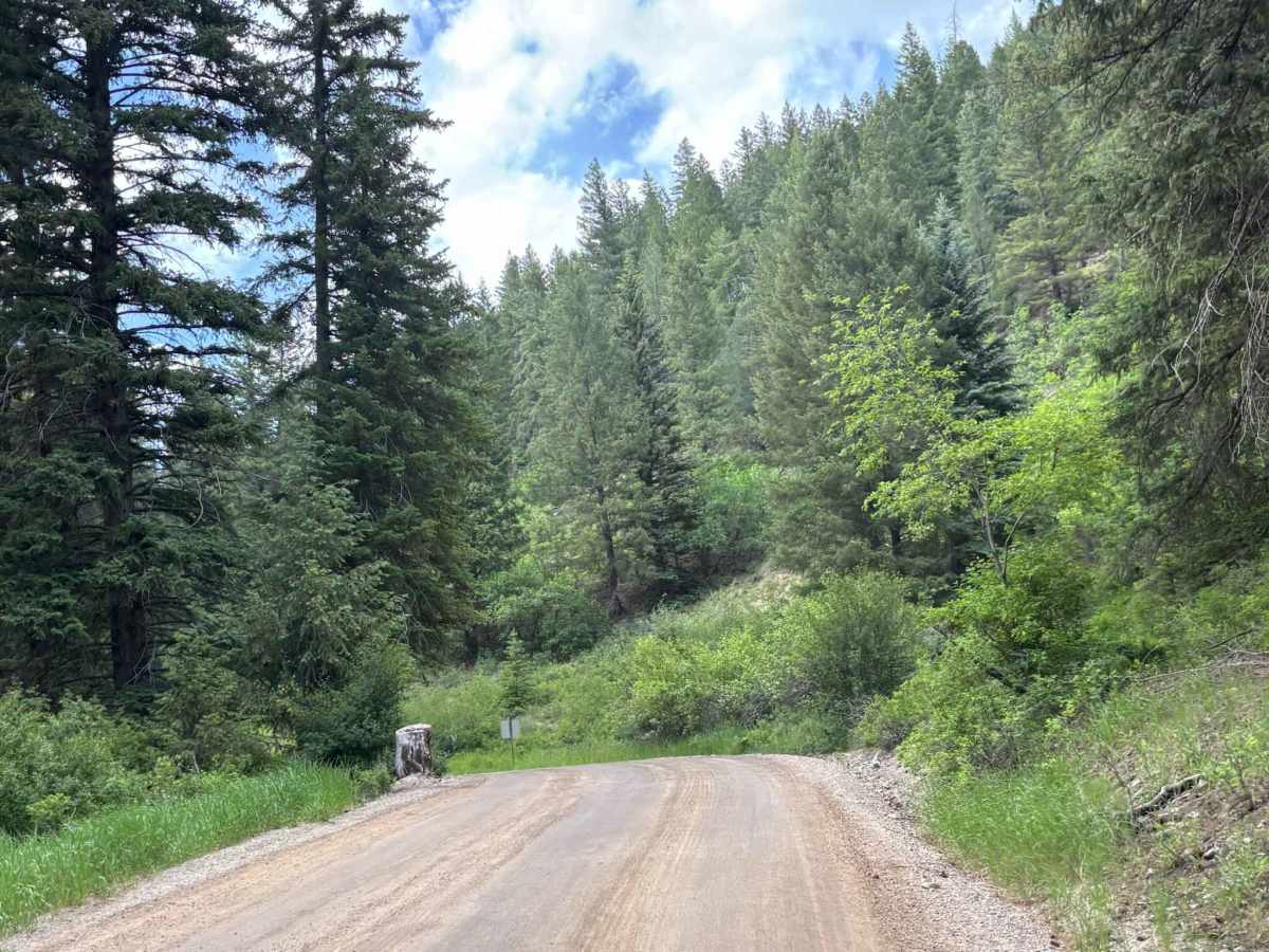 Coulter Mesa Road photo 5