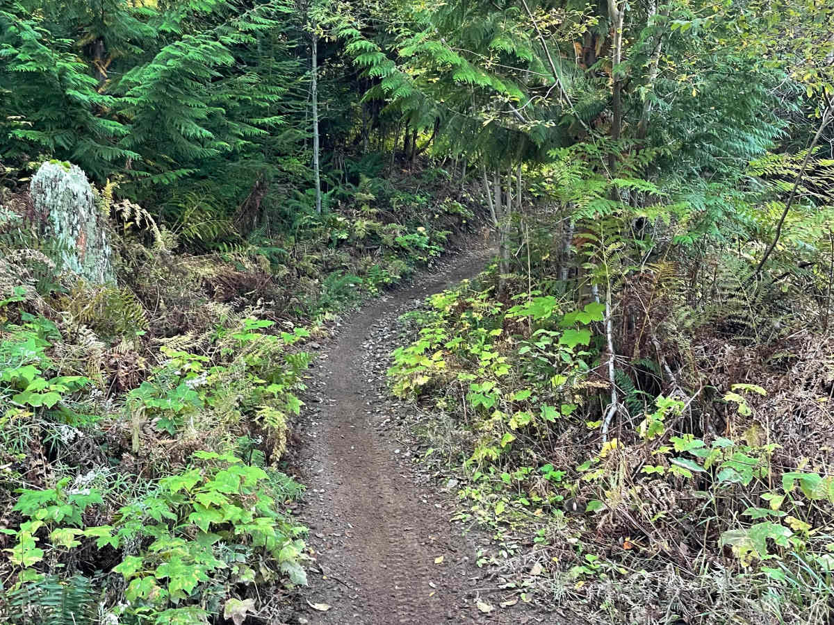Hayden's Trail photo 5