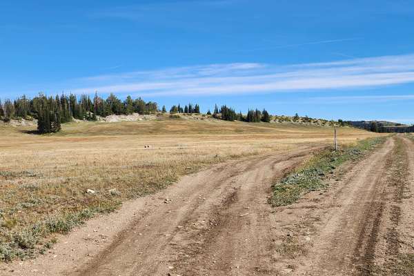 Becks Ridge - FS 52146