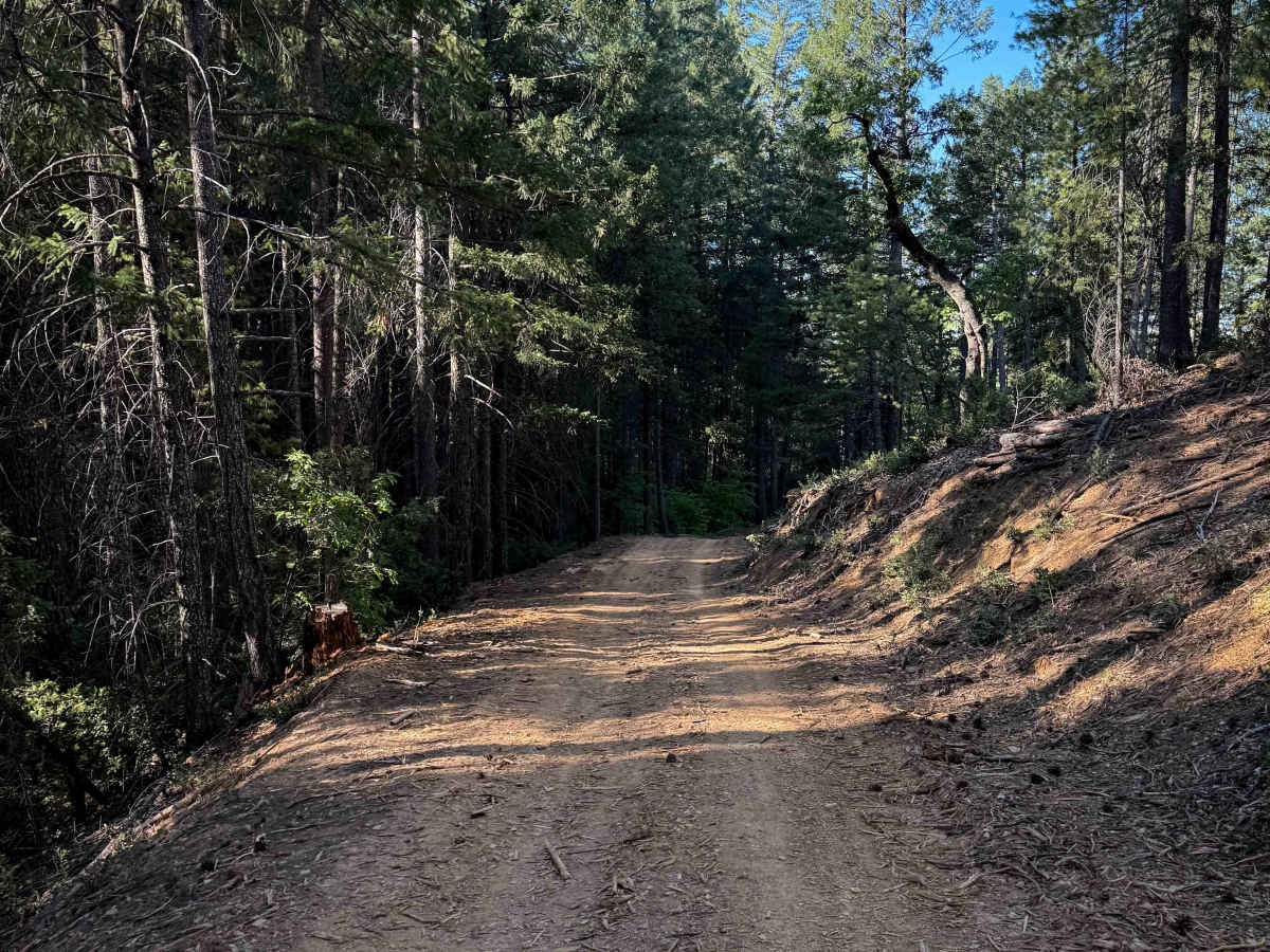 Trail 4-3 (11E34)  photo 4