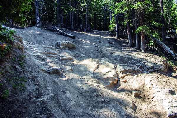 McAllister Gulch