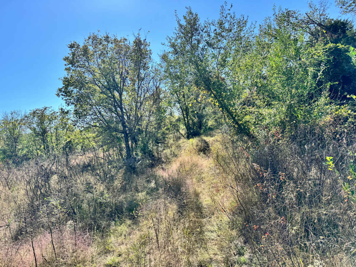 Blown Turbo Trail photo 3