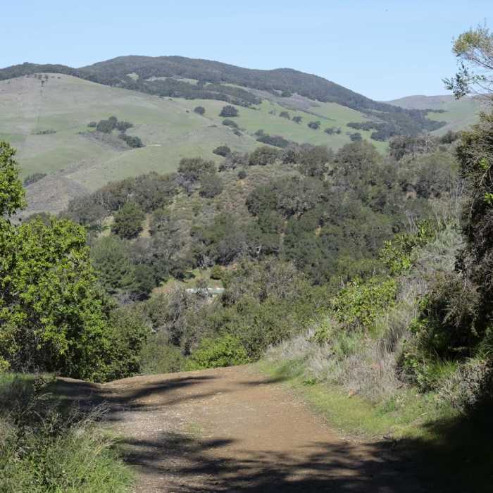Near Trespass - Gaviota Peak