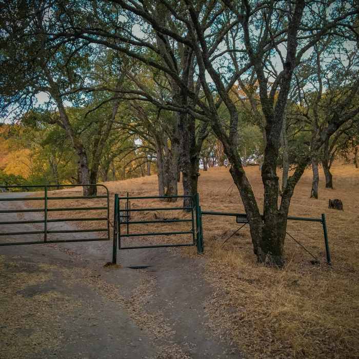 Near Eagle Peak Out and Back