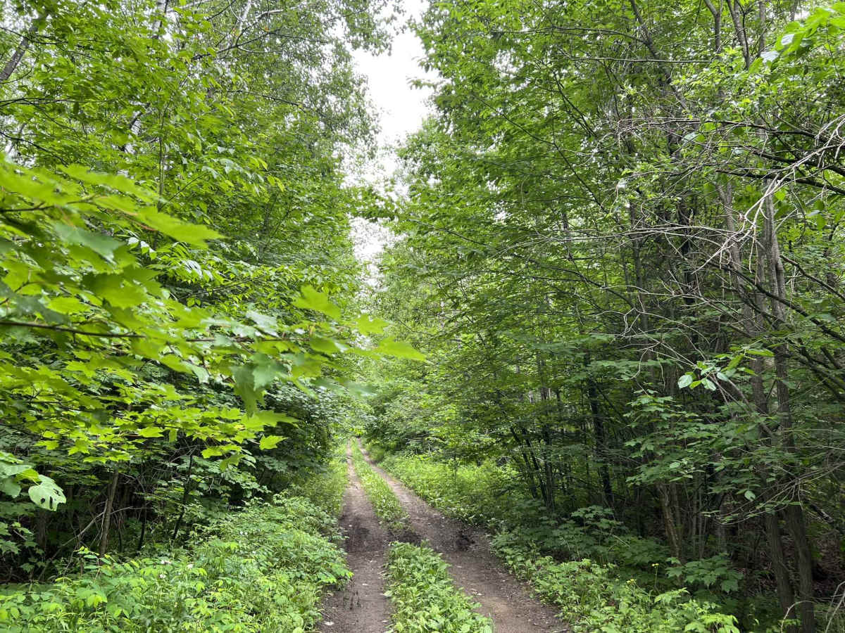 FS 2379 photo 6