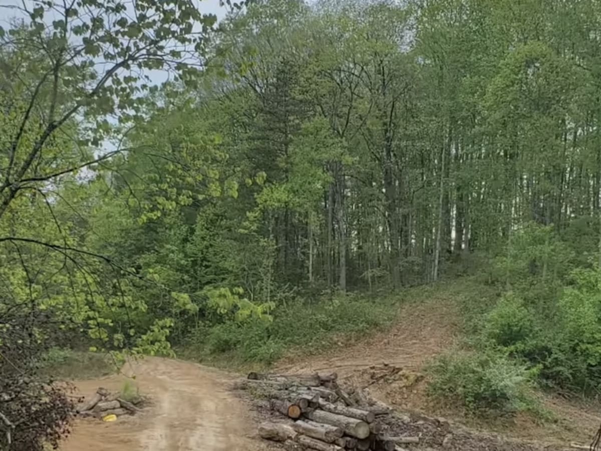 Zachariah 4WD Trail photo 4