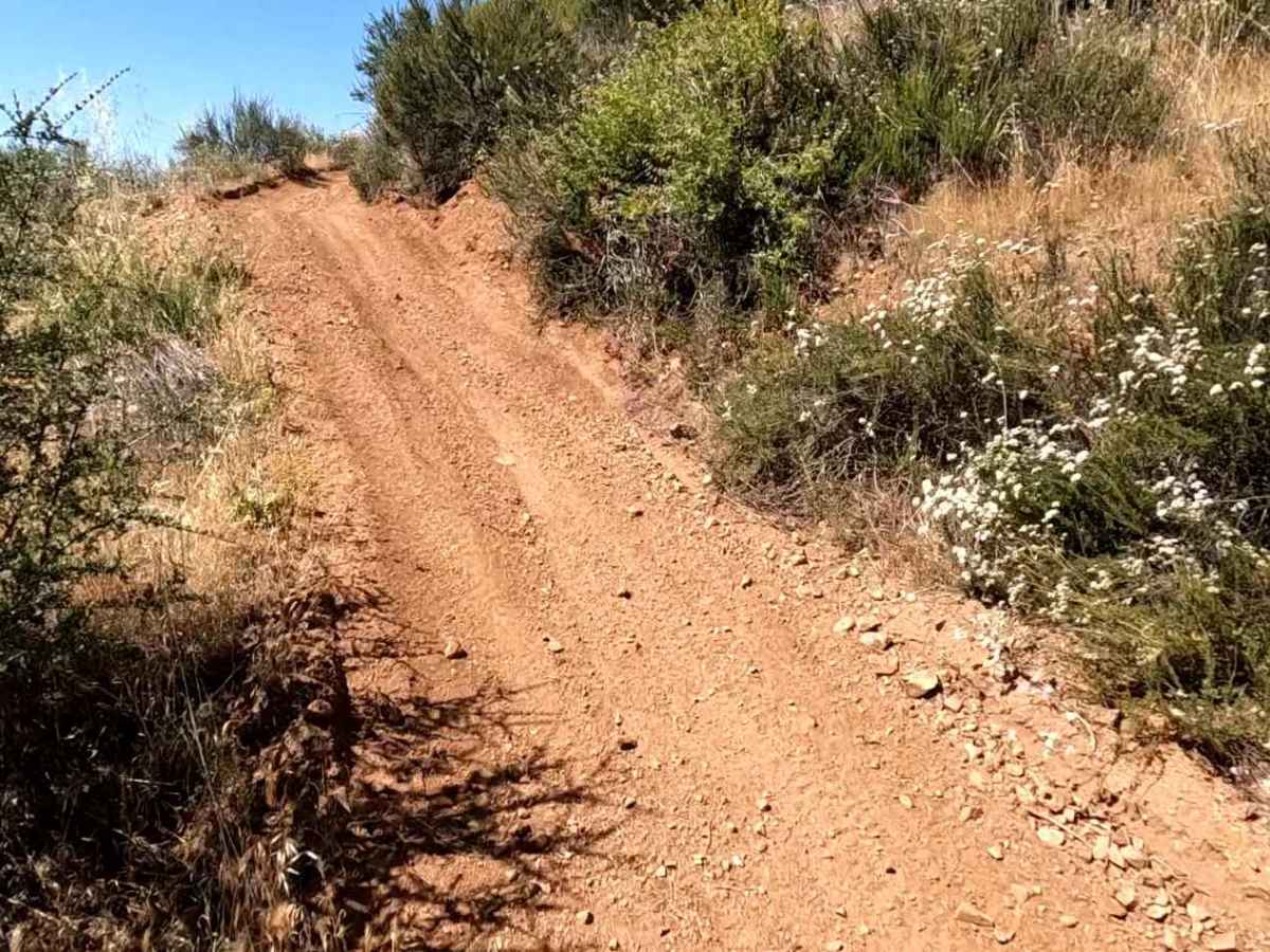 Texas OHV Trail photo 5