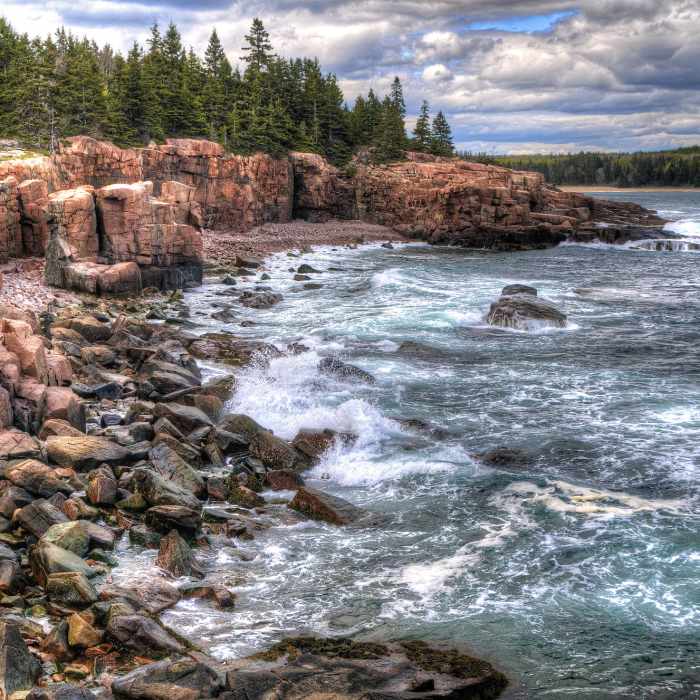 Near Thunder Hole, Acadia National Park Near Ocean Path