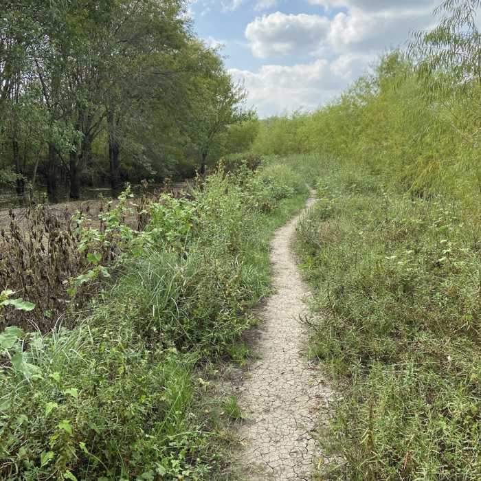 Coming around the backside of Wetland Trail Near Clear Creek Natural Heritage Center