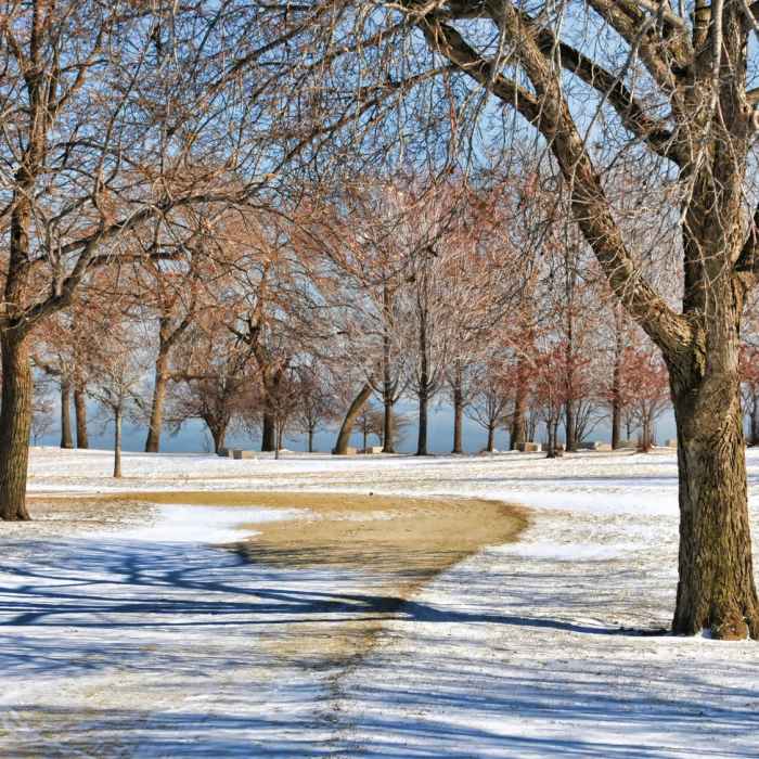 Near Montrose Park Beach Tour