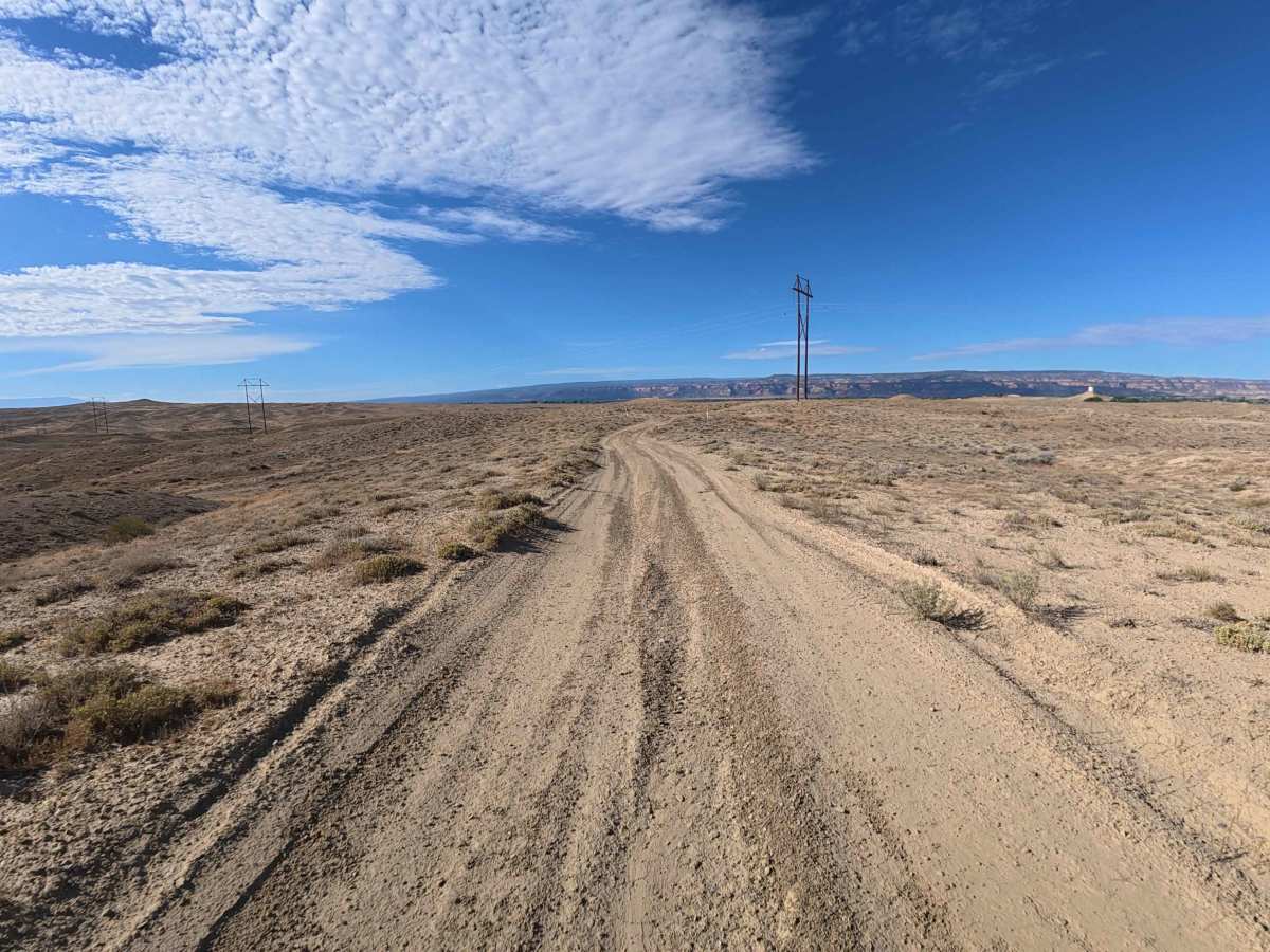 BLM 181 photo 6