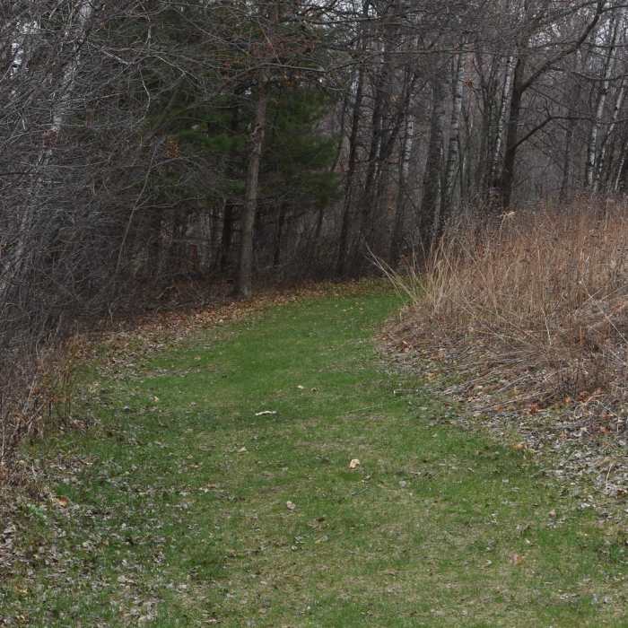 Near Coon Lake Regional Park Trail