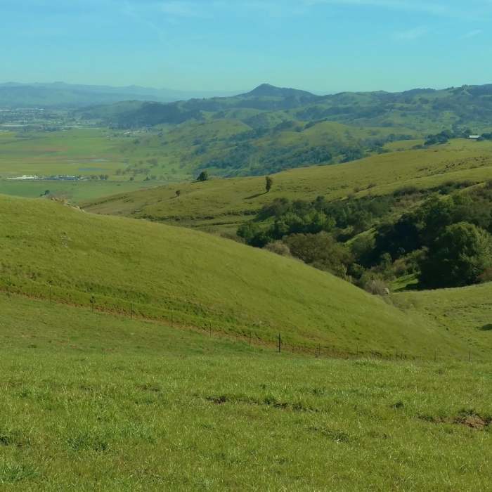 The Santa Clara Valley countryside south of San Jose is absolutely gorgeous from the Coyote Peak Trail. Near Coyote Peak Trail