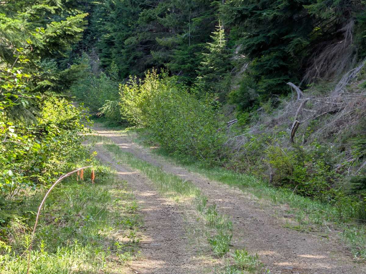 Mine Creek photo 2