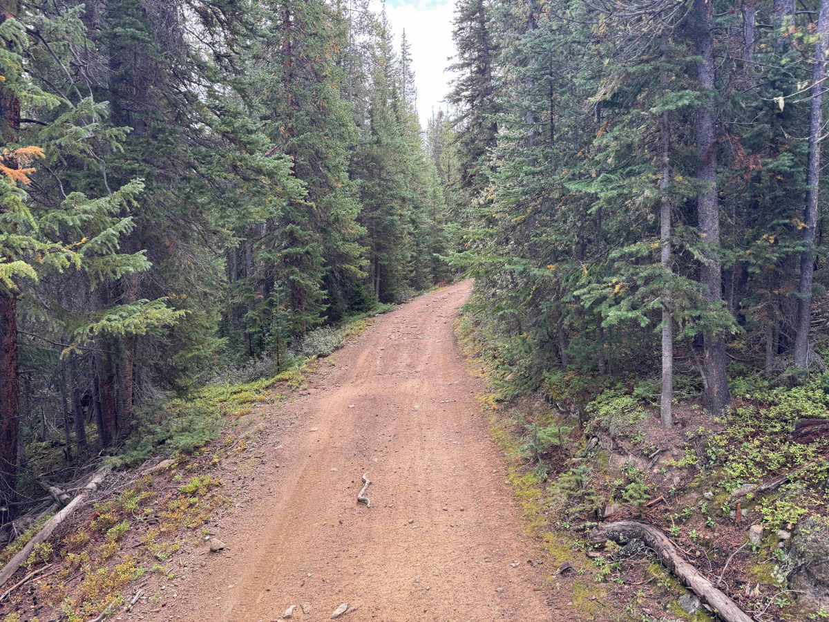 Sawmill Road photo 2