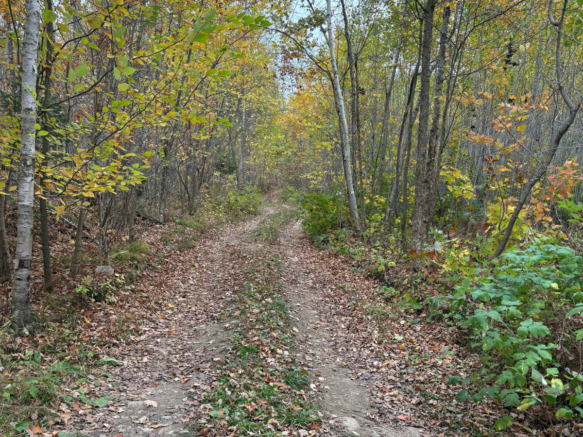 Porkey Lake Loop photo 5