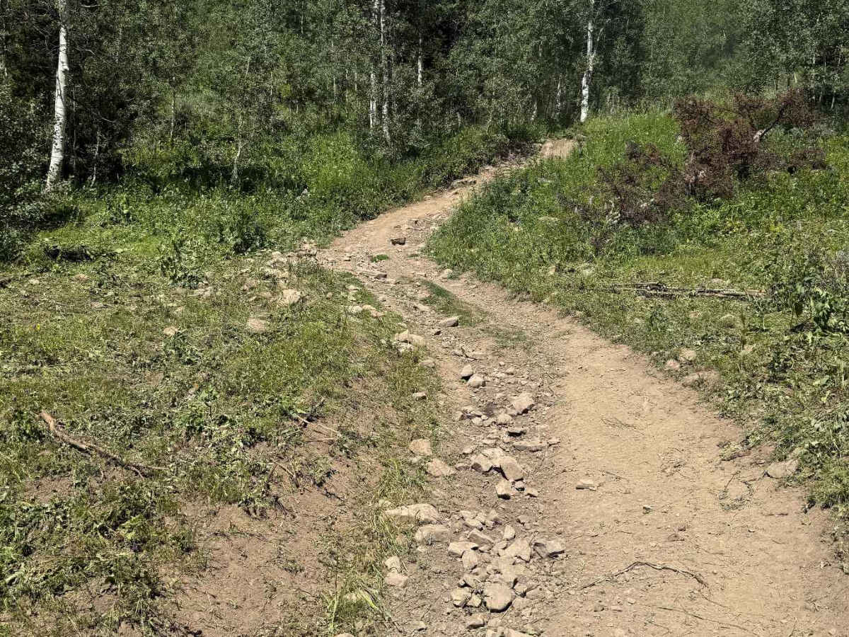 Thousand Springs photo 2