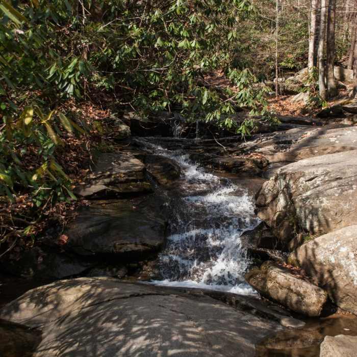 Near Catawba Falls Near Catawba Falls