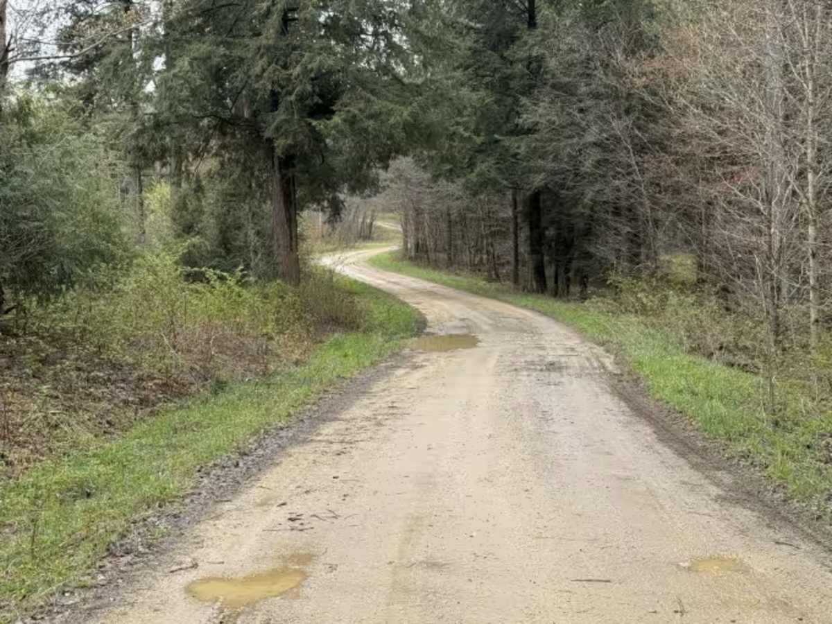 Gusher Plank A - FS 256A trail photo