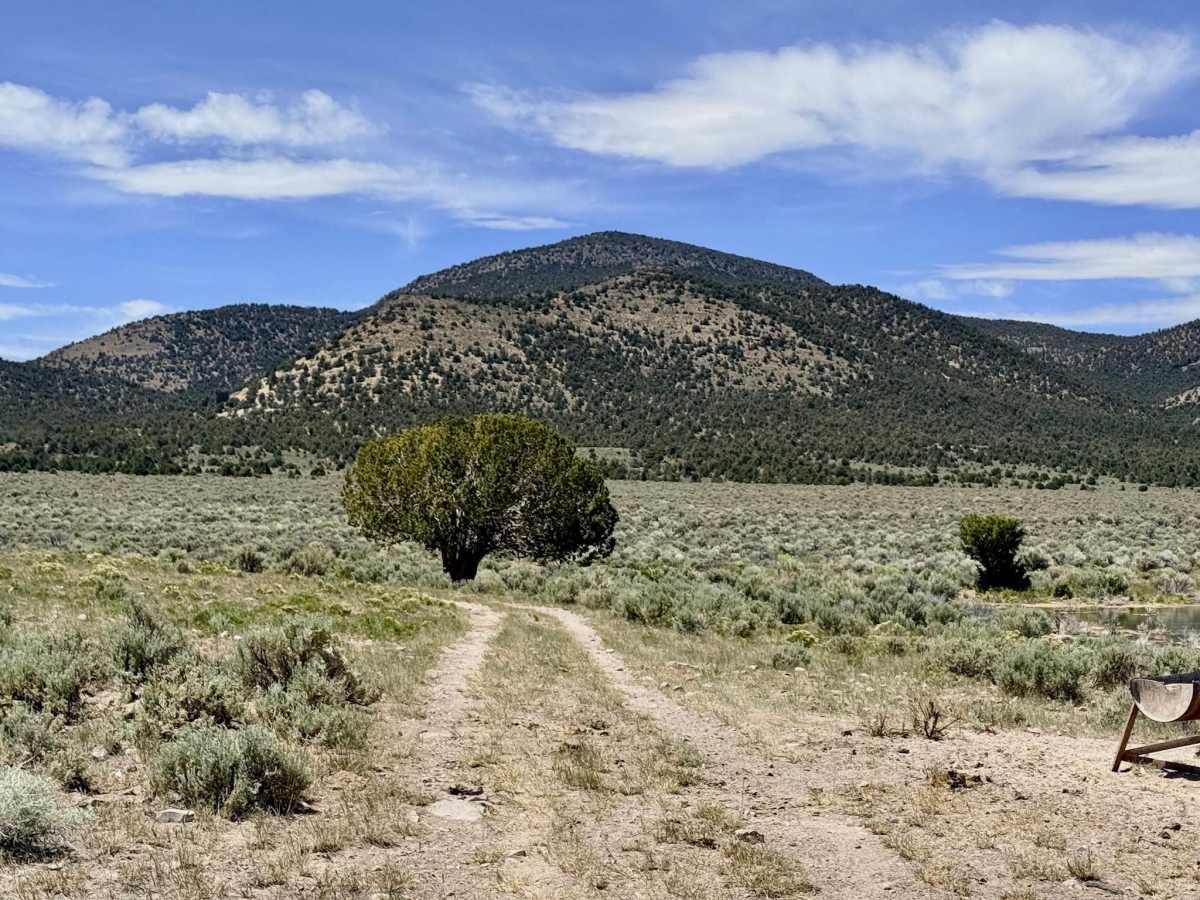Sequra Reservoir FS43358 photo 3